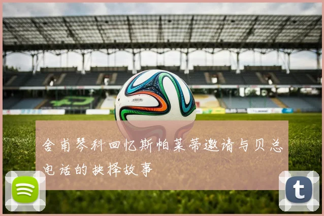舍甫琴科回忆斯帕莱蒂邀请与贝总电话的抉择故事